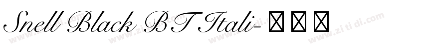 Snell Black BT Itali字体转换